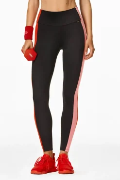 Discount Move Colored Tuxedo Tights Women All Activewear